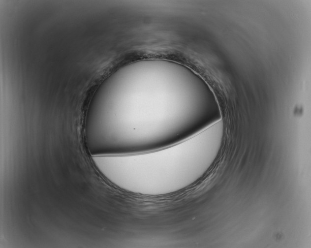 X0000103251300200808281047