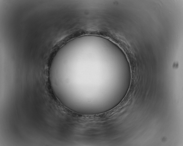 X0000103251301200808281047