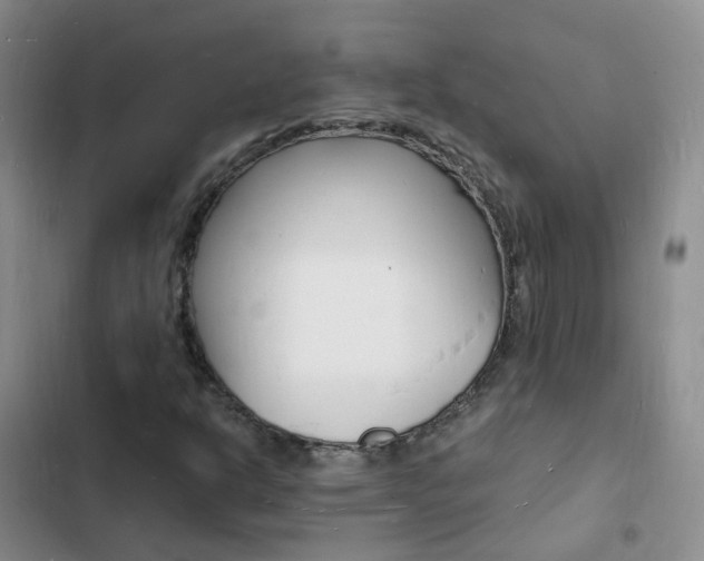 X0000103251302200808281047