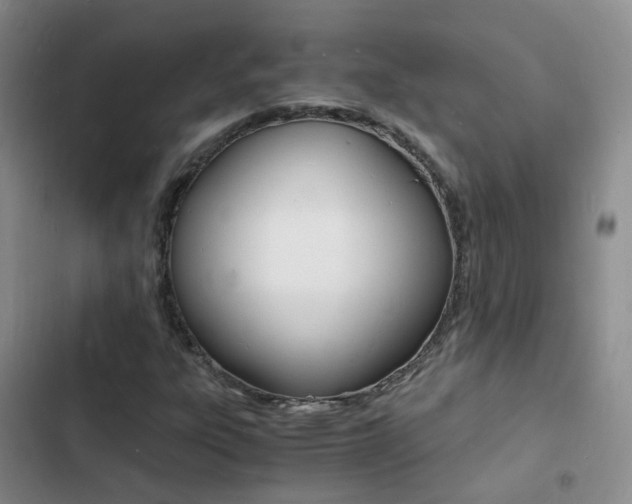 X0000103251303200808281047