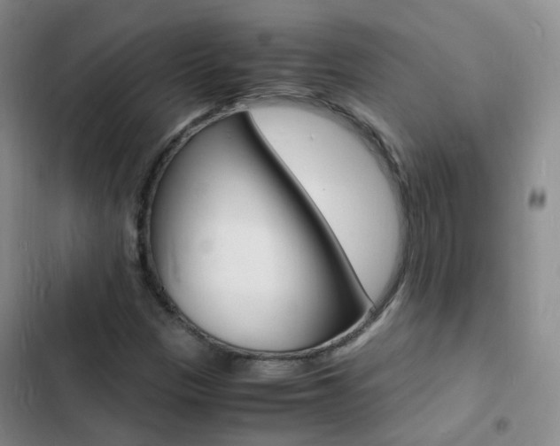 X0000103251305200808281047