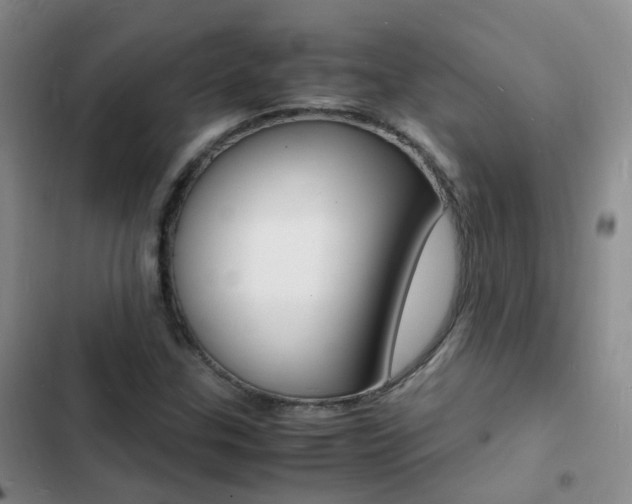 X0000103251307200808281047