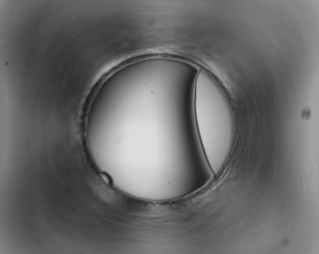 X0000103251308200808281047