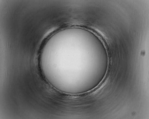 X0000103251309200808281047