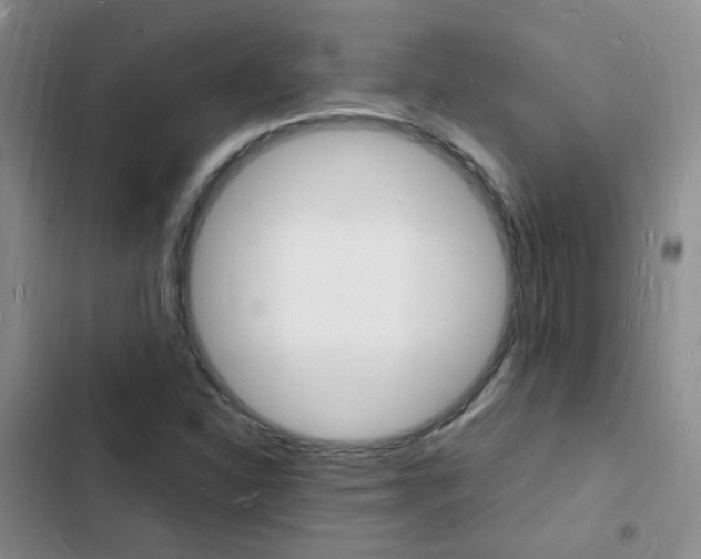 X0000103251310200808281047