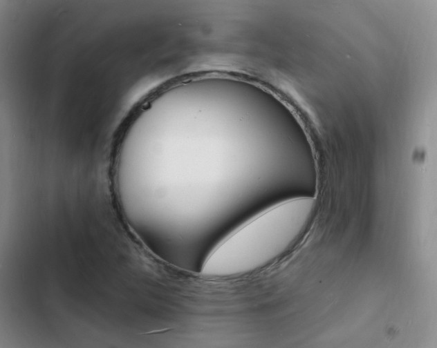 X0000103251312200808281047