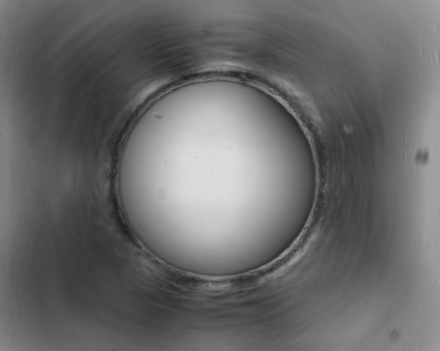 X0000103251313200808281047