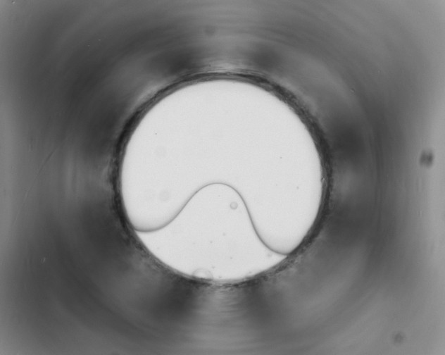 X0000103251314200808281047