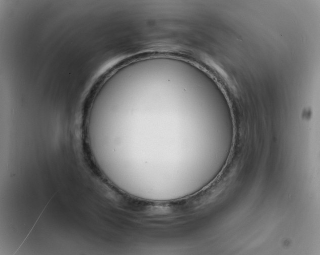X0000103251315200808281047
