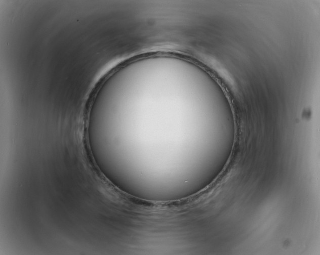 X0000103251316200808281047