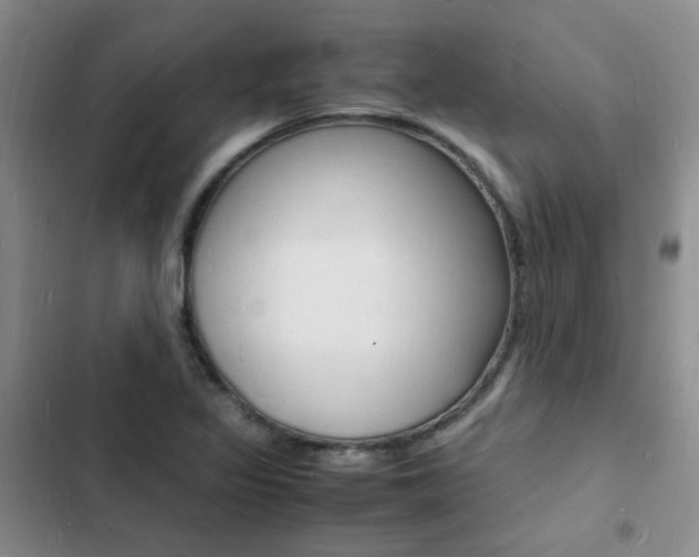 X0000103251317200808281047