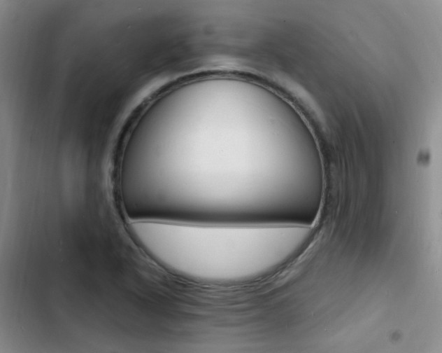 X0000103251318200808281047