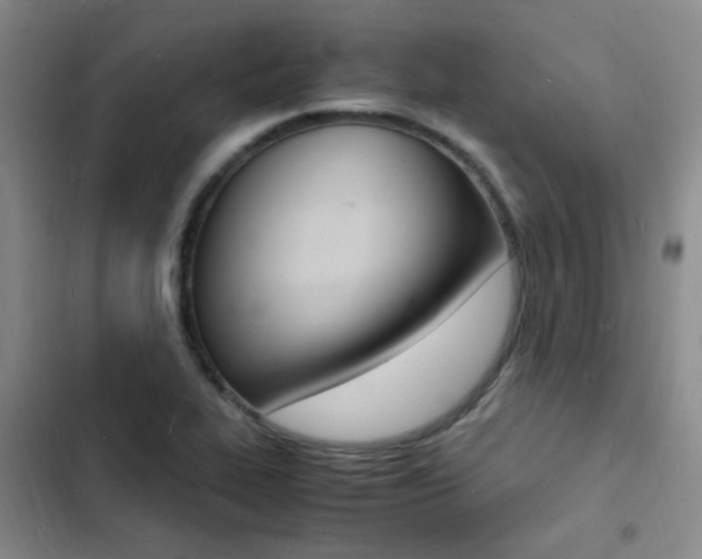 X0000103251319200808281047