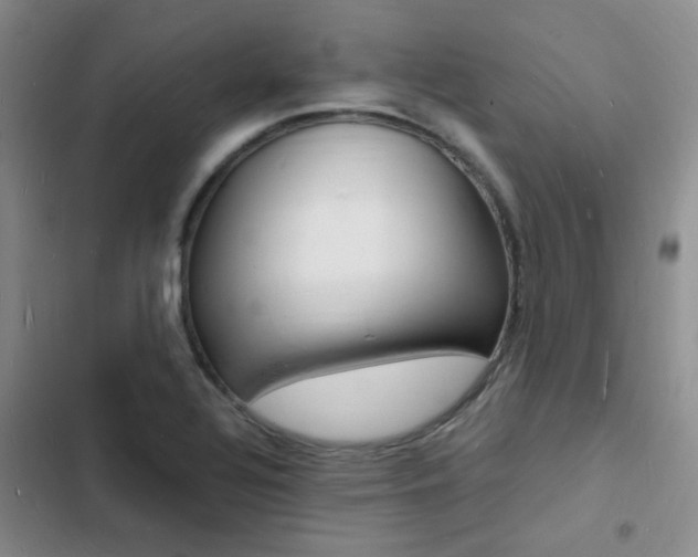 X0000103251320200808281047