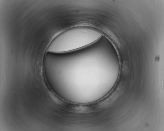 X0000103251321200808281047
