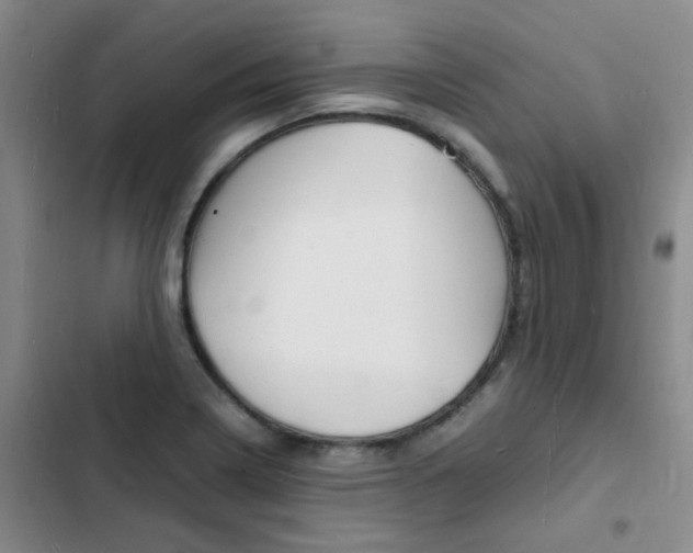 X0000103251322200808281047