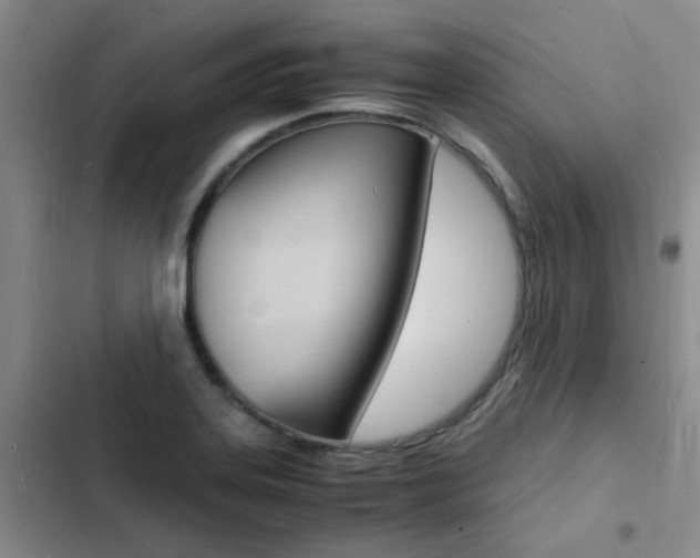 X0000103251323200808281047