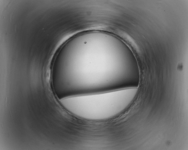 X0000103251324200808281047