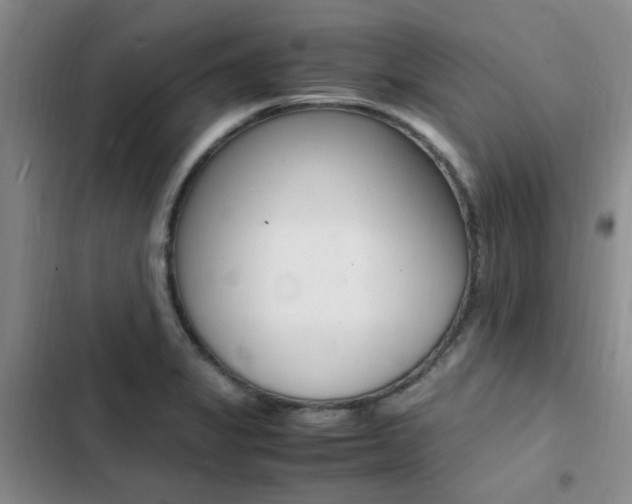 X0000103251325200808281047