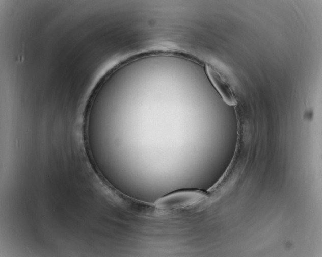 X0000103251326200808281047