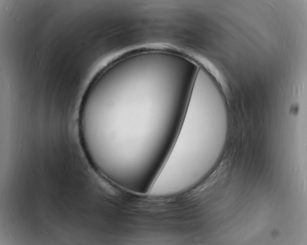 X0000103251327200808281047