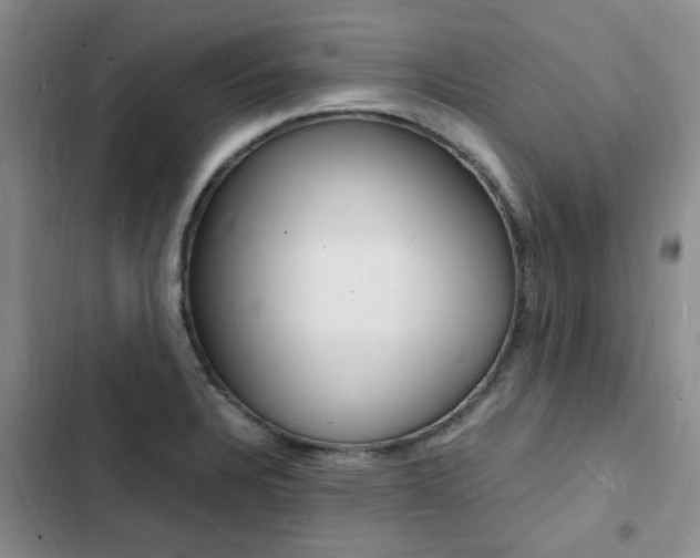 X0000103251328200808281048