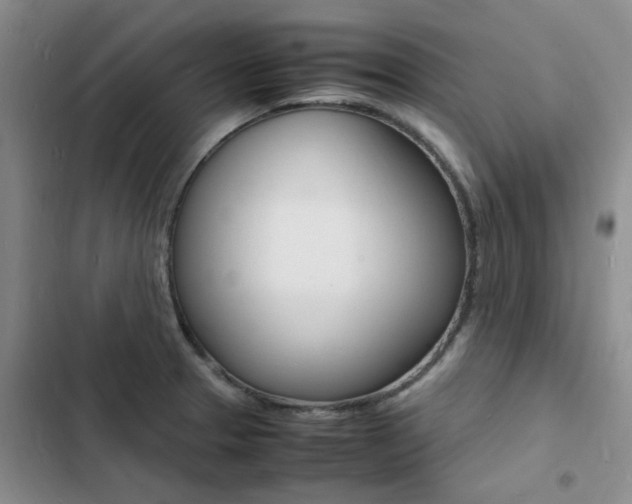 X0000103251329200808281048