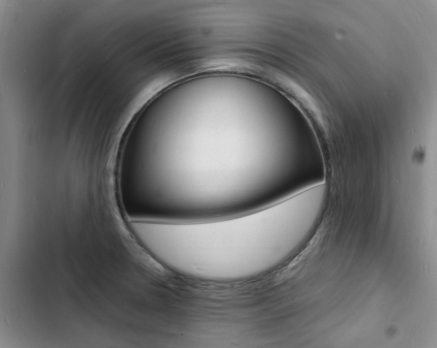 X0000103251330200808281048