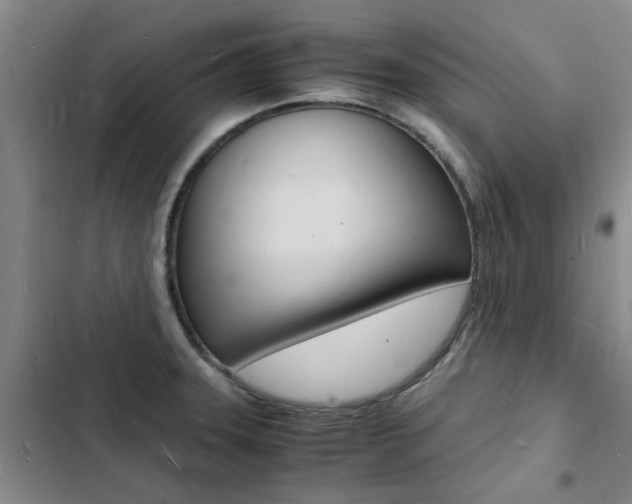 X0000103251331200808281048