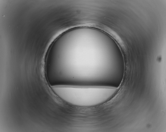 X0000103251332200808281048
