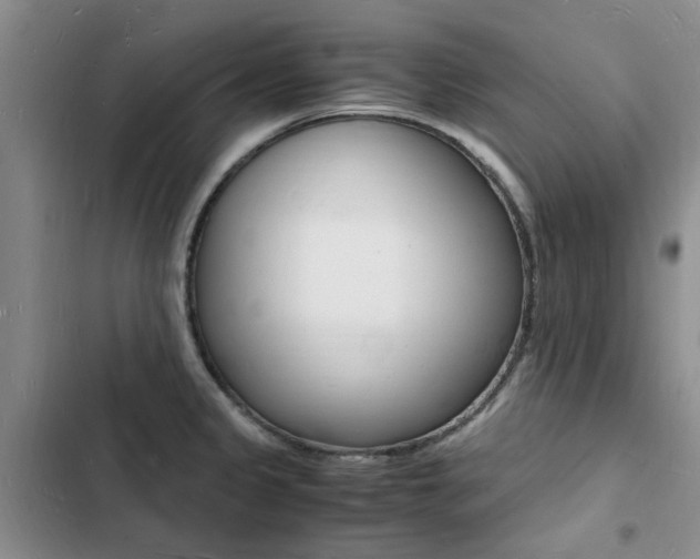 X0000103251333200808281048