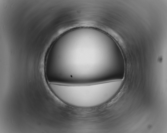 X0000103251334200808281048