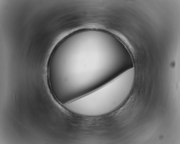 X0000103251335200808281048