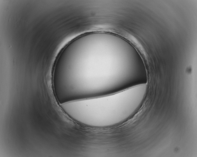 X0000103251336200808281048