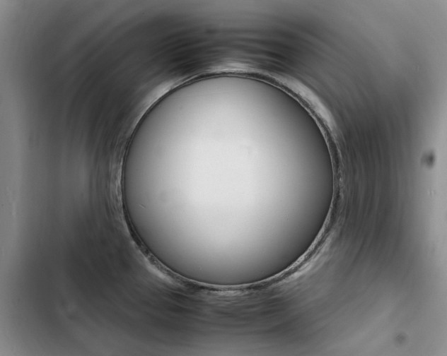 X0000103251337200808281048