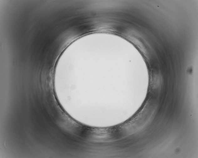 X0000103251338200808281048