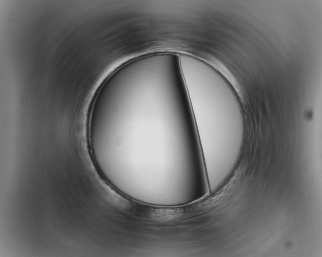 X0000103251339200808281048