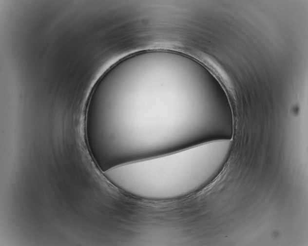 X0000103251340200808281048