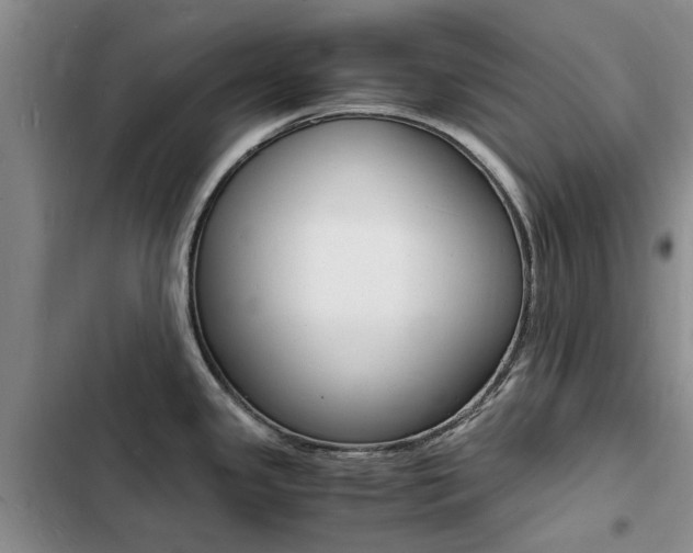 X0000103251341200808281048