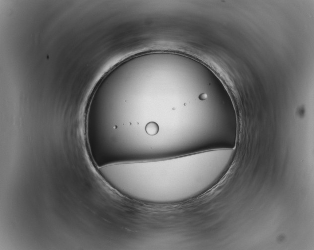 X0000103251342200808281048