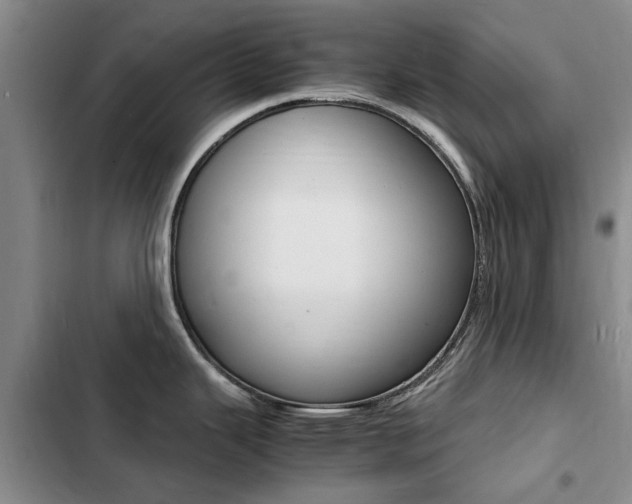 X0000103251343200808281048