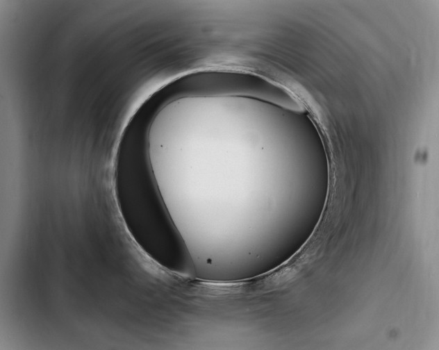 X0000103251344200808281048