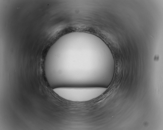 X0000103251346200808281047