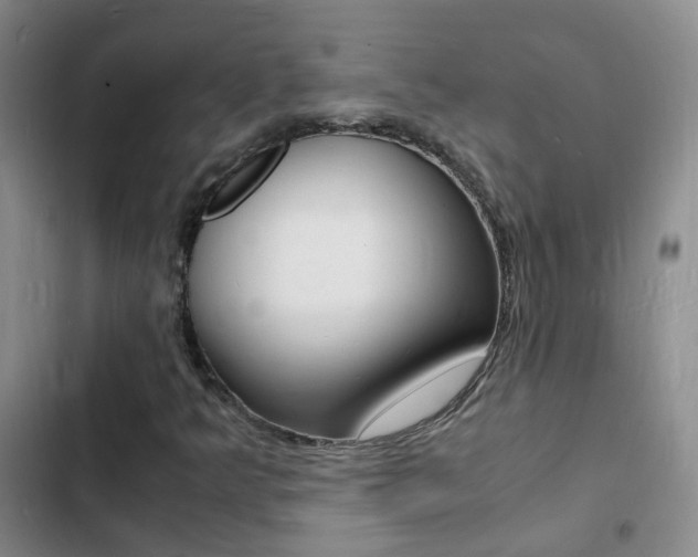 X0000103251349200808281047