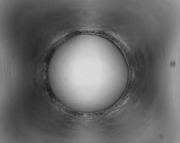 X0000103251350200808281047