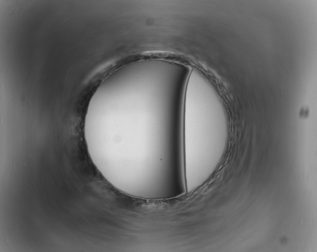 X0000103251351200808281047