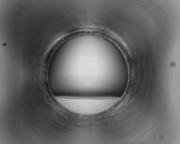X0000103251352200808281047