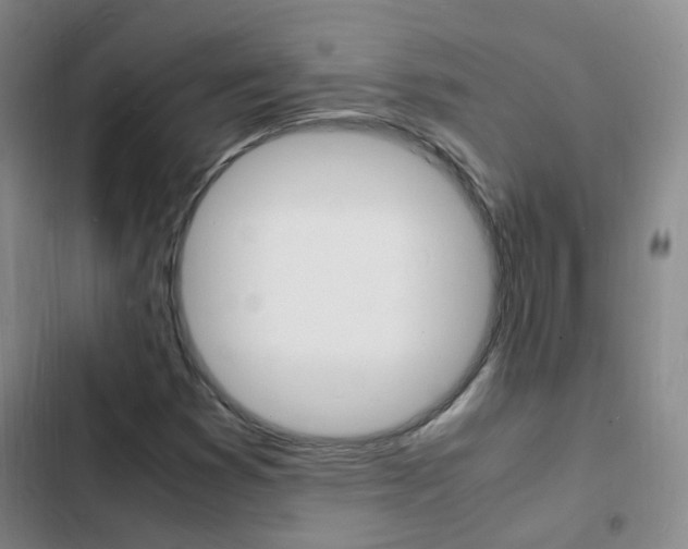 X0000103251353200808281047