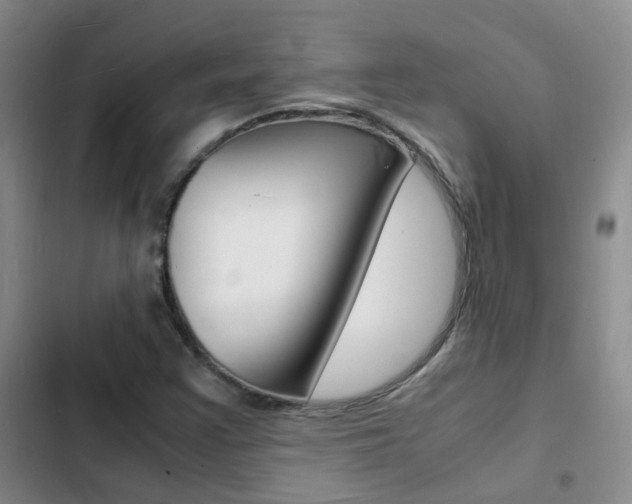 X0000103251355200808281047
