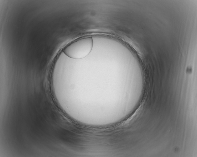 X0000103251357200808281047
